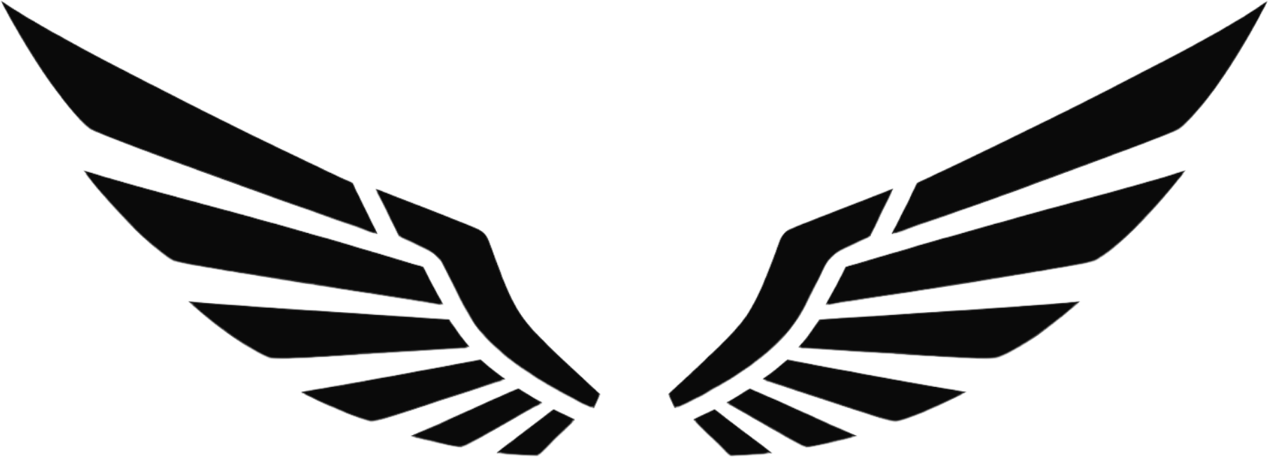 Sentinel Academy wings emblem